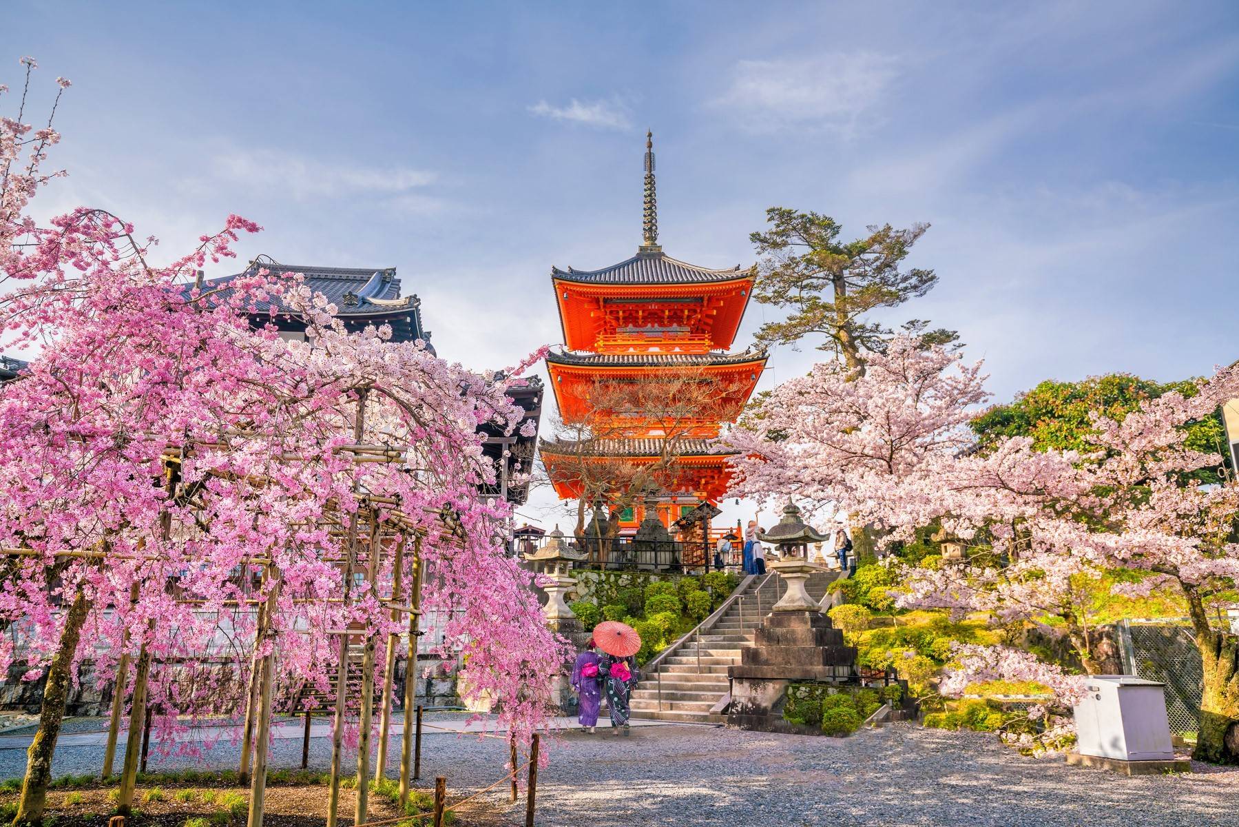 5-Day Tokyo, Kyoto & Nakasendo Route Tour from Tokyo: Akihabara, Asakusa, Fushimi Inari Shrine, Golden Pavilion and Matsumoto | Arrival Transfer and Breakfast Included