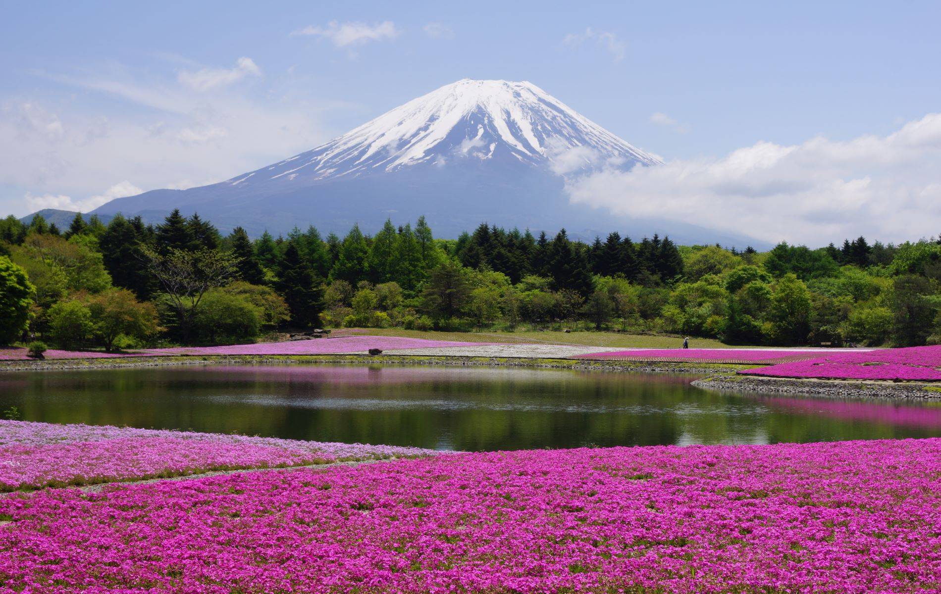 2-Day Discovering Kamakura and Mount Fuji Tour from Tokyo: Enoshima, Odawara, Owakudani, Kawaguchiko and Mount Fuji | Great Buddha, Oshino Hakkai and Boat Ride