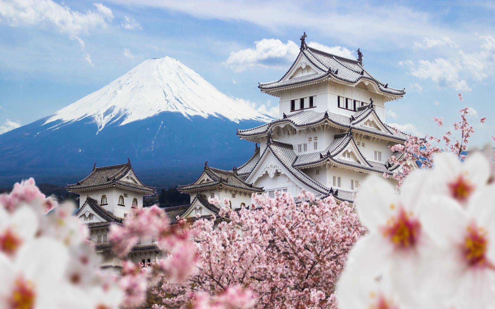 11-Day Timeless and Traditional Japan with Japanese Alps Tour from Osaka: Kyoto, Mount Koya and Tokyo | Kenrokuen, Hida Folk Village and Shirakawa-go