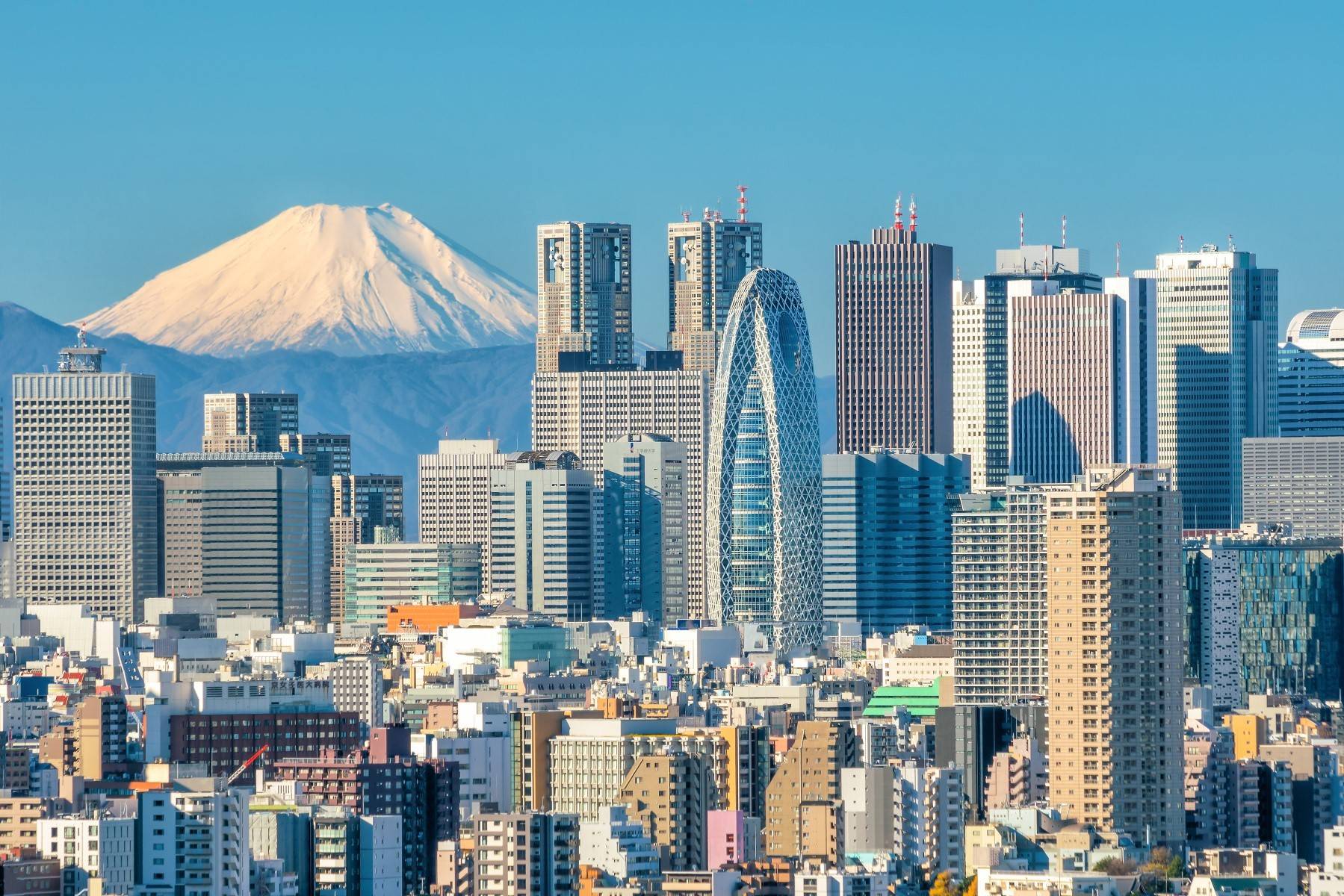 12-Day Colors of Japan and Hiroshima Tour from Tokyo: Matsuyama & Kobe | Shibuya Crossing, Sensoji Temple, Nakamise Street, Itsukushima Shrine & Dogo Onsen