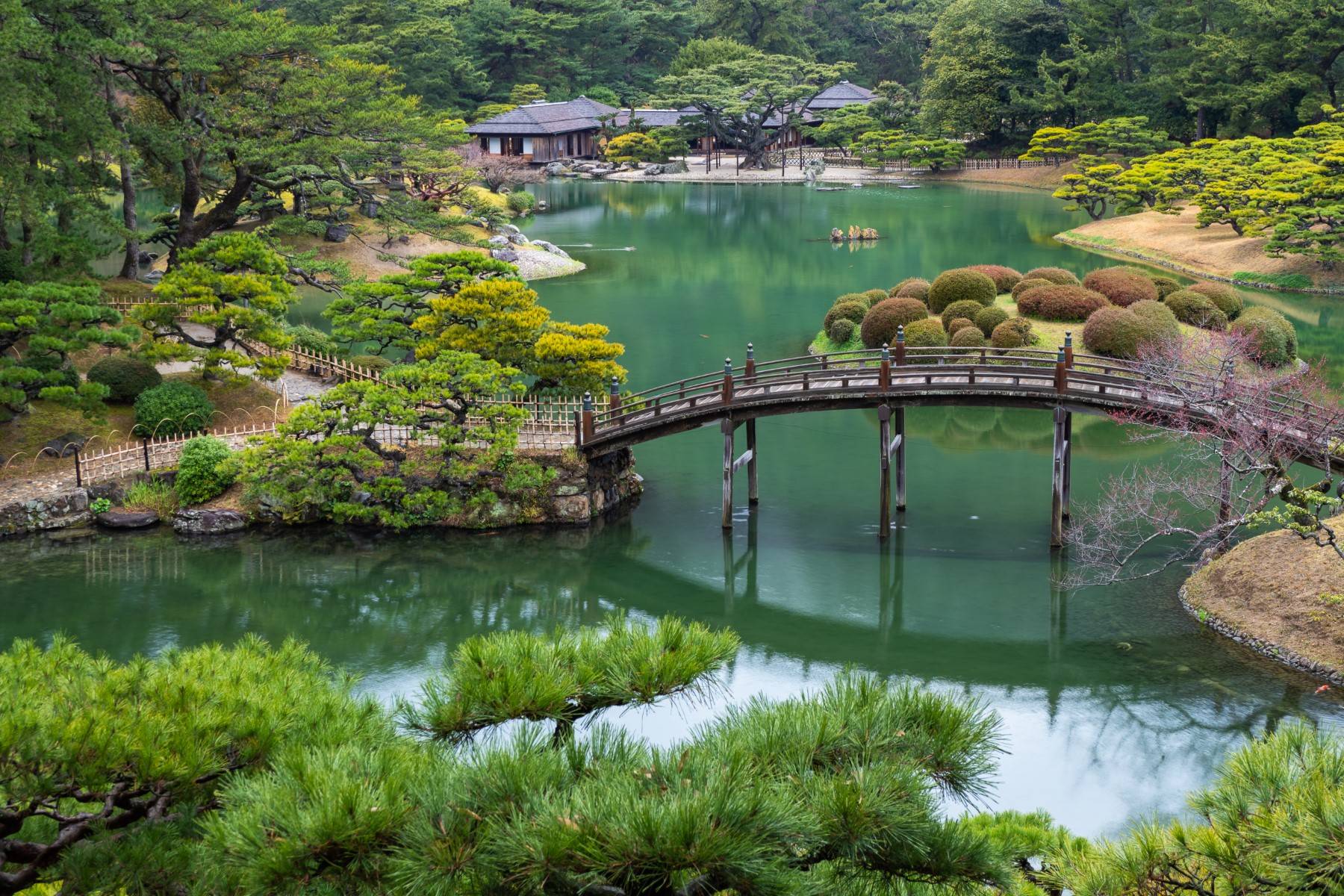 14-Day Magical and Dreamy Japan Tour from Tokyo: Tokyo Skytree, Dogo Onsen, Gion, Hida Folk Village Museum and Japanese Alps | Complimentary Airport Pickup