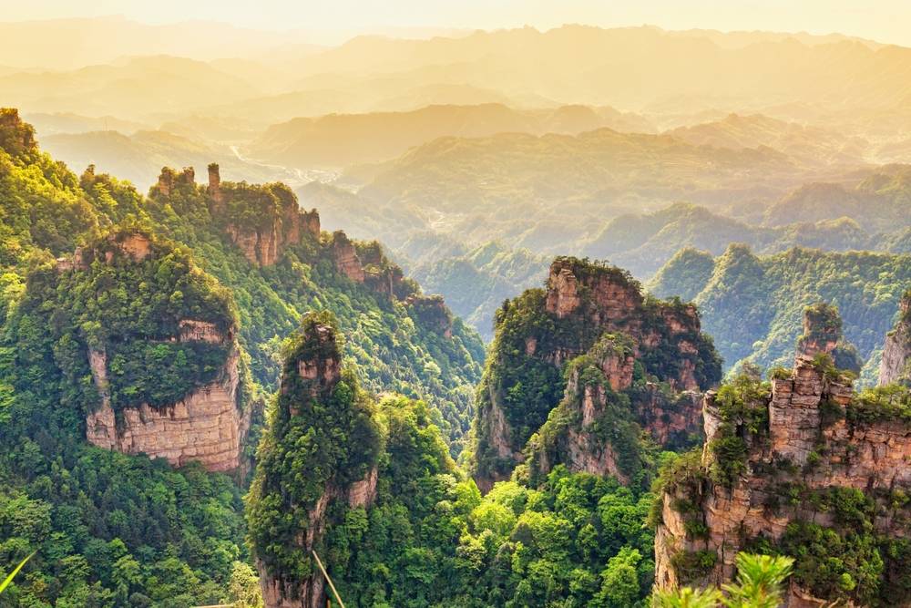 11-Day Authentic China and Avatar Dreams Tour from Beijing: Shanghai, Luoyang, Xi'an, Zhangjiajie | Tianmen Mountain, Wulingyuan & Longmen Buddhist Caves