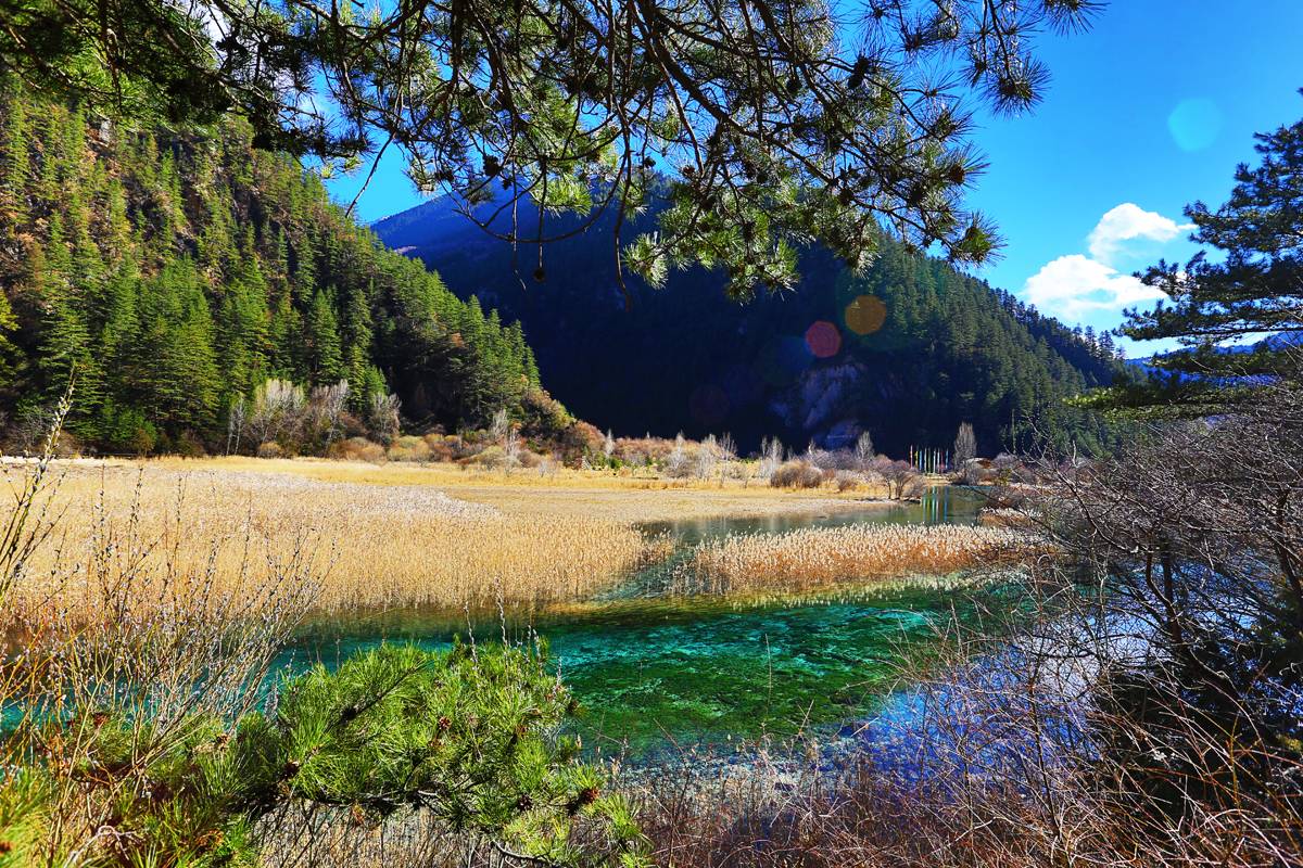 9-Day China Culture＆Nature Tour: Shiyan, Chengdu and Zhangjiajie | Wudang Mountain, Jiuzhaigou and Zhangjiajie National Forest Park | Free Airport Transfer | Special Date Offer