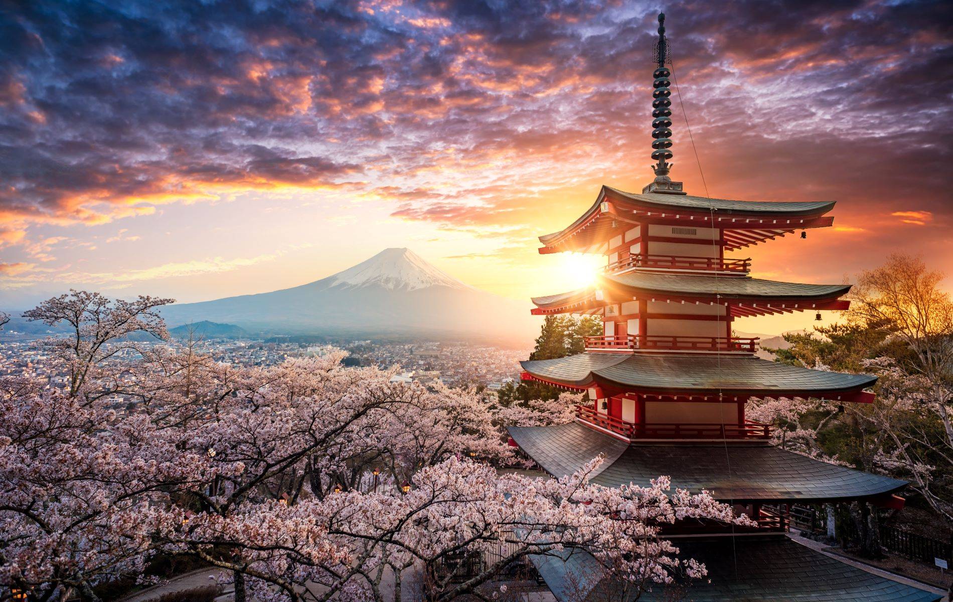 12-Day Wonders of Japan End Osaka Tour from Tokyo: Toyota, Nara, Okayama, Hiroshima | Mount Fuji | Kawaguchiko