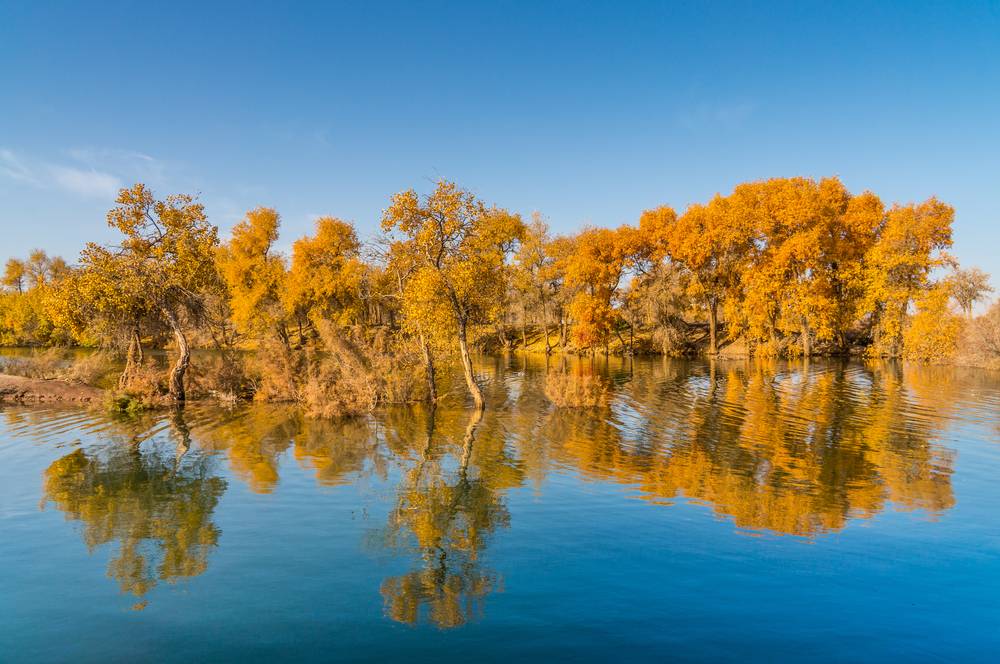 7-Day Northwest Silk Road Poplar Forest Train Tour: Xining-Kashgar Round Trip | Kumbum Monastery, Baisha Lake and Kashgar Ancient City | Pro Photographer & 24h Transfers