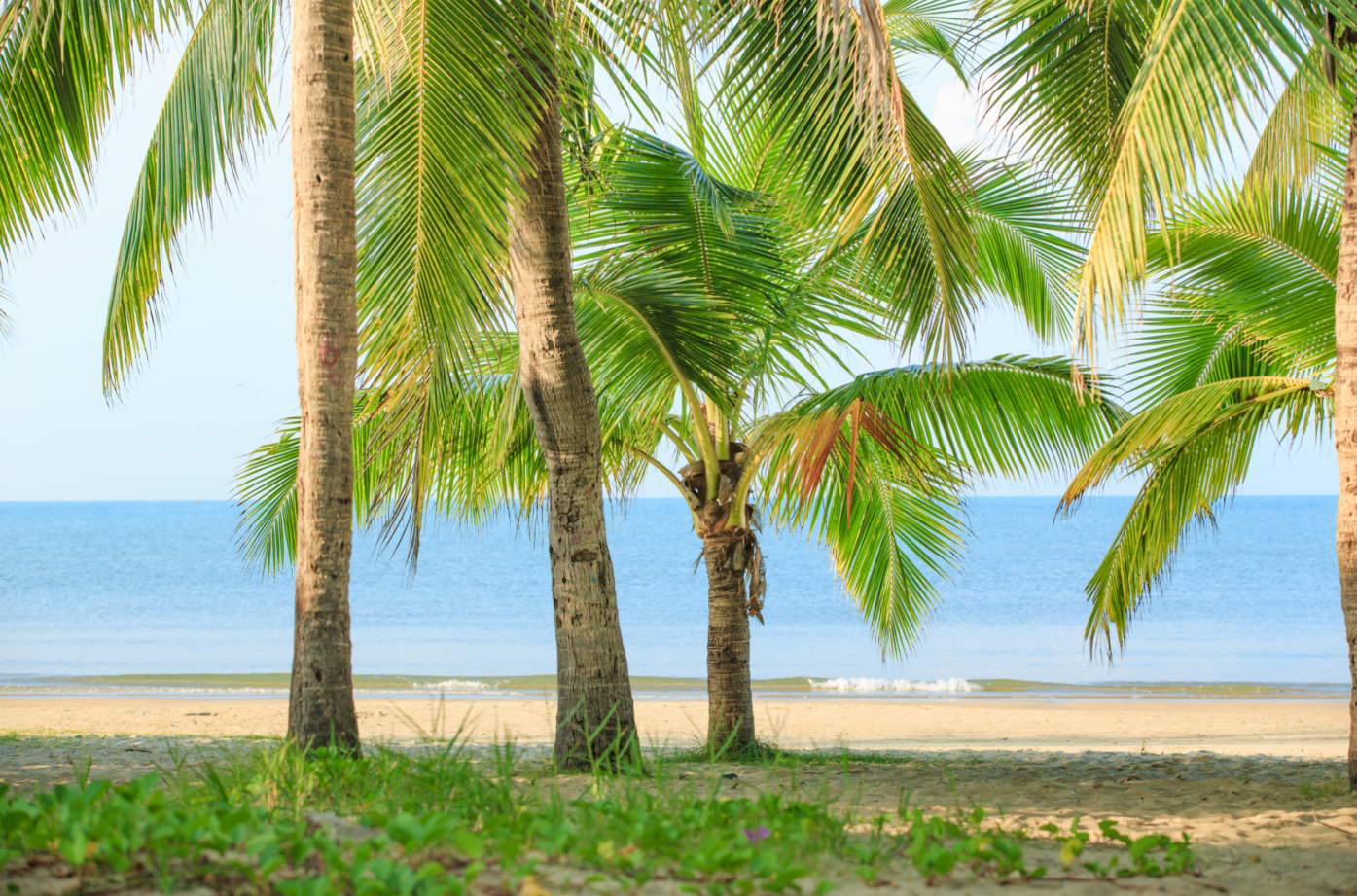4-Day Sanya Cultural Experience Private Tour: Luhuitou Park, Local Market & Optional Nature Excursions