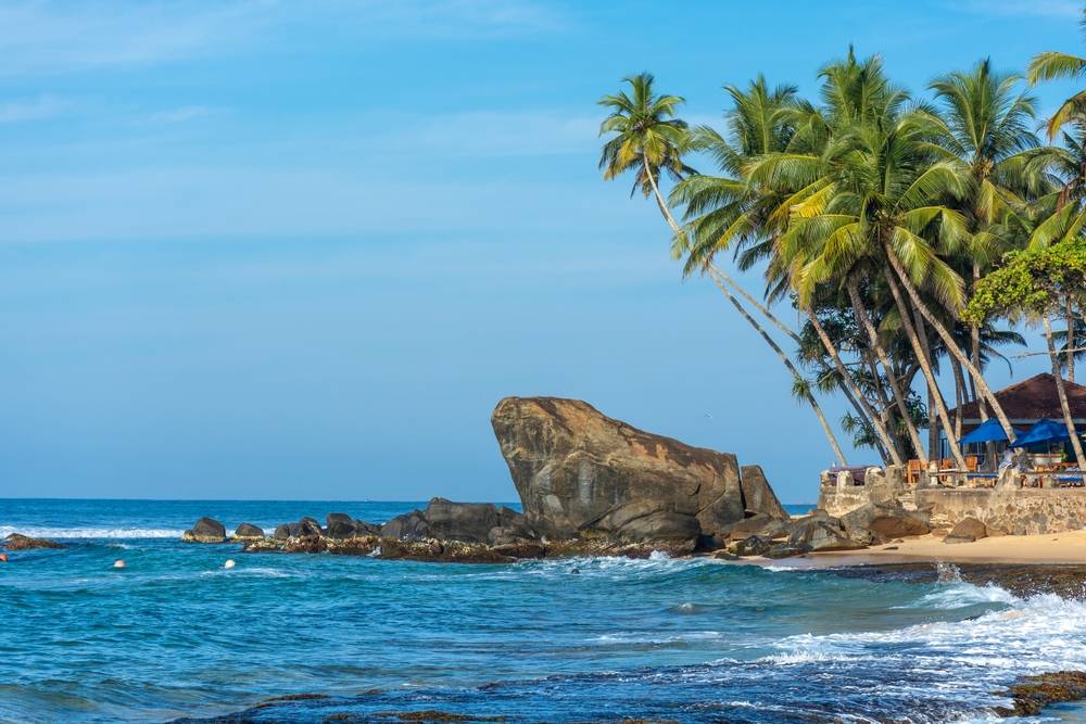 6-Day Sri Lanka Highlights Tour from Colombo:Pinnawala, Nuwara Eliya |  Mount Lavinia, Pidurutalagala & Kandy Peradeniya Botanical Garden