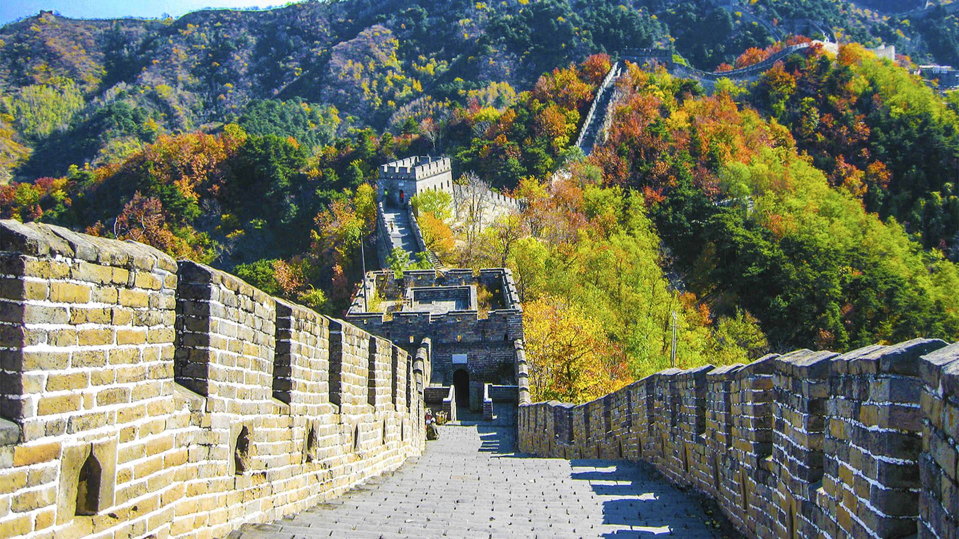 【Exclusive: Travel with T4F Global VP Tingting】11-Day China Discovery Tour: Beijing, Xi’an, Chengdu and Shanghai | Great Wall, The Terracotta Warriors, Giant Pandas and the Bund