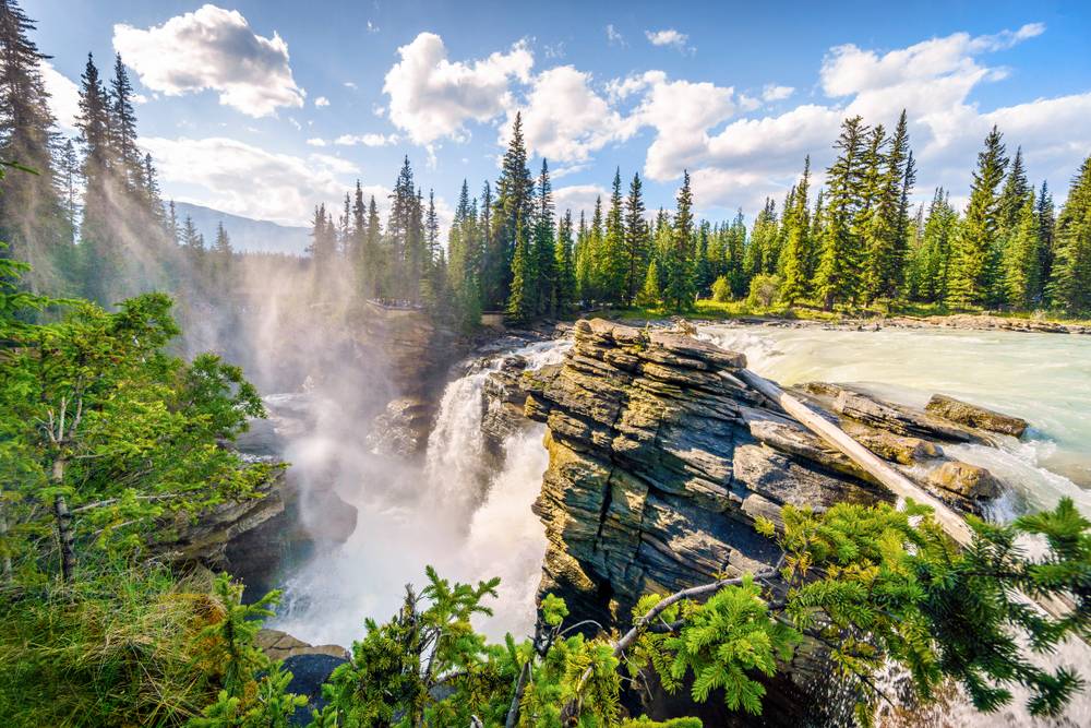 5-Day Canadian Rockies Summer Tour from Calgary: Maligne Lake, Lake Louise, Johnston Canyon, Moraine Lake | Yoho, Banff & Jasper National Park | Crossing Resort Stay